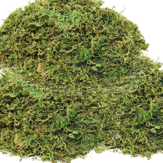 19 OZ Fake Moss for Potted Plants, Artificial Moss for Crafts, Faux Green Moss for Decorative Fake Plants