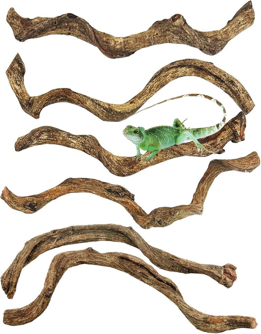 Reptile Branch Decor Snake Climbing Wood Branches Lizard Habitat Decorations Terrarium Natural Forest Tree Trunk Ornament for Bearded Dragon Geckos Chameleon Frog - S