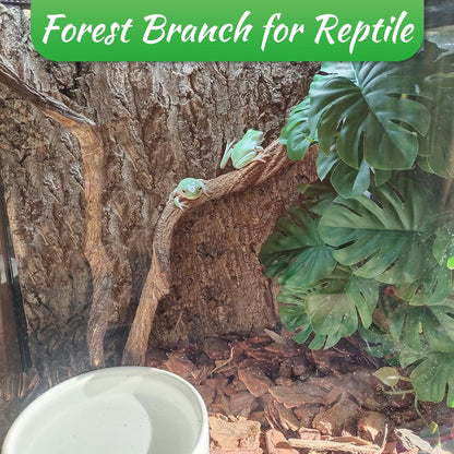 Reptile Branch Decor Snake Climbing Wood Branches Lizard Habitat Decorations Terrarium Natural Forest Tree Trunk Ornament for Bearded Dragon Geckos Chameleon Frog - S