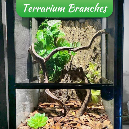 Reptile Branch Decor Snake Climbing Wood Branches Lizard Habitat Decorations Terrarium Natural Forest Tree Trunk Ornament for Bearded Dragon Geckos Chameleon Frog - S