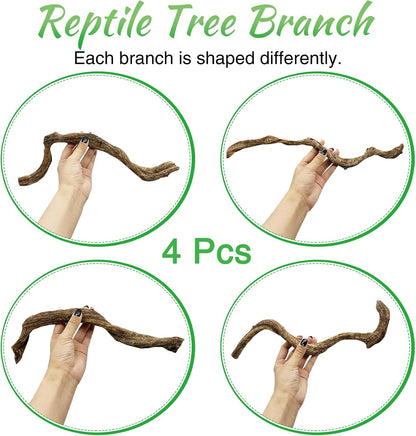 Reptile Branch Decor Snake Climbing Wood Branches Lizard Habitat Decorations Terrarium Natural Forest Tree Trunk Ornament for Bearded Dragon Geckos Chameleon Frog - S