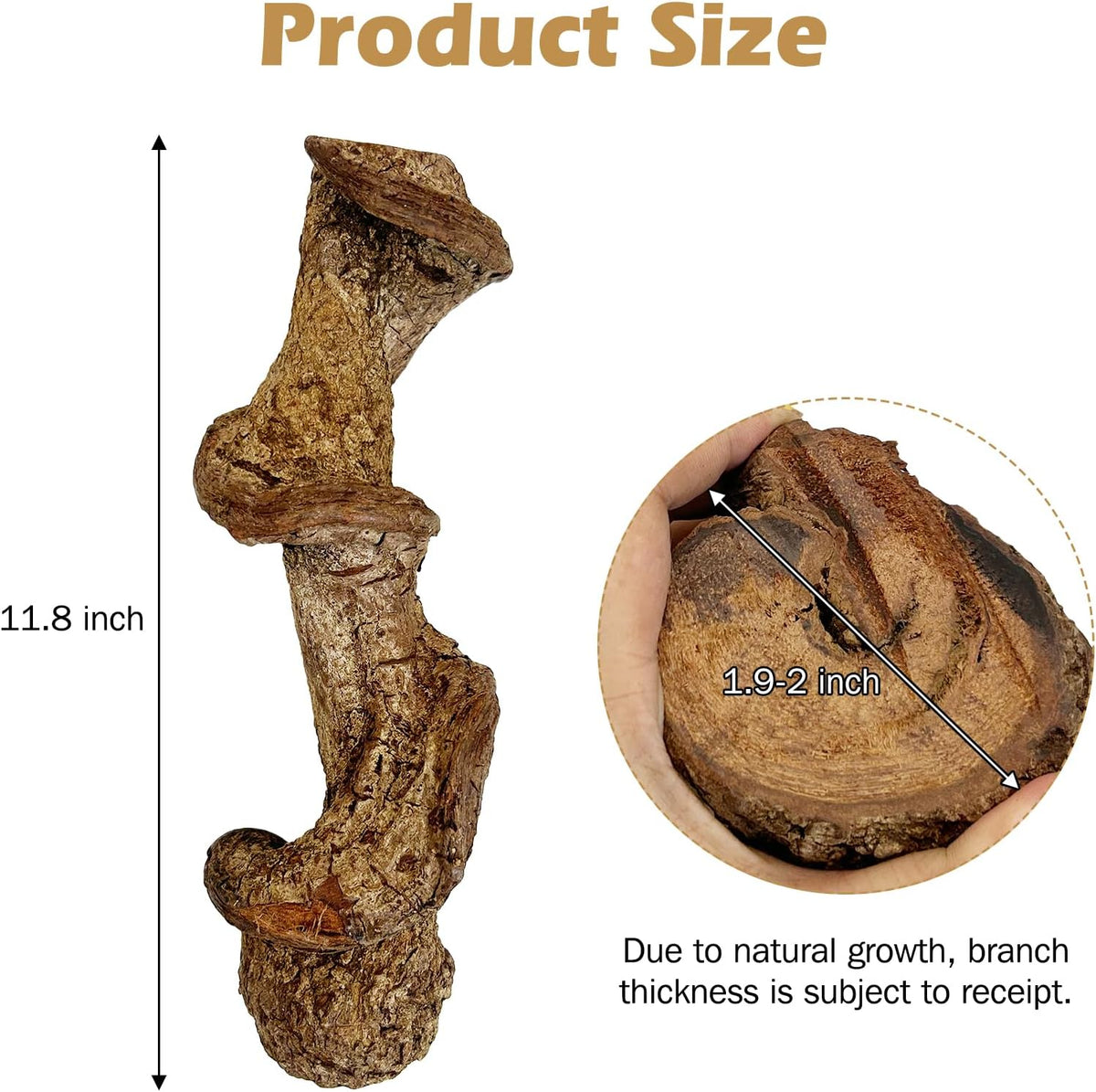 Reptile Branch Decor Snake Climbing Wood Branches Lizard Habitat Decorations Terrarium Natural Forest Tree Trunk Ornament for Bearded Dragon Geckos Chameleon Frog - S