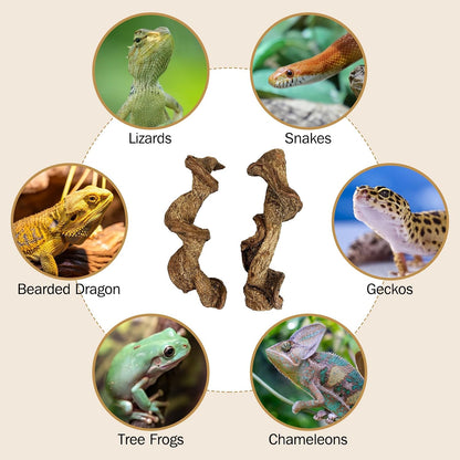 Reptile Branch Decor Snake Climbing Wood Branches Lizard Habitat Decorations Terrarium Natural Forest Tree Trunk Ornament for Bearded Dragon Geckos Chameleon Frog - S