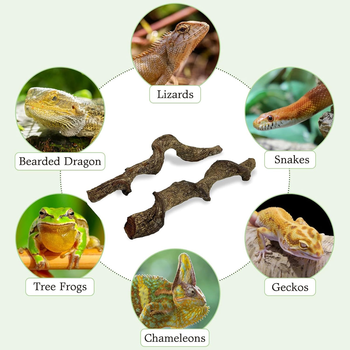 Reptile Branch Decor Snake Climbing Wood Branches Lizard Habitat Decorations Terrarium Natural Forest Tree Trunk Ornament for Bearded Dragon Geckos Chameleon Frog - S