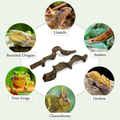 Reptile Branch Decor Snake Climbing Wood Branches Lizard Habitat Decorations Terrarium Natural Forest Tree Trunk Ornament for Bearded Dragon Geckos Chameleon Frog - S