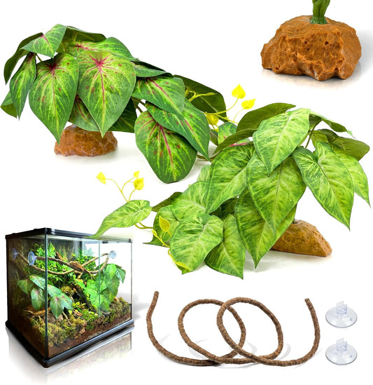 3PC Reptile Terrarium Habitat Decor Kit – Realistic Artificial Reptile Plants with Hanging Vine, Resin Stone Base – Jungle Rainforest Habitat & Climbing for Lizard & Amphibians (Syngonium)
