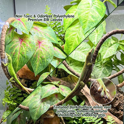 3PC Reptile Terrarium Habitat Decor Kit – Realistic Artificial Reptile Plants with Hanging Vine, Resin Stone Base – Jungle Rainforest Habitat & Climbing for Lizard & Amphibians (Syngonium)