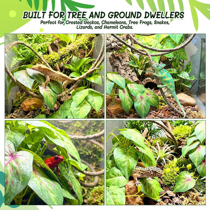 3PC Reptile Terrarium Habitat Decor Kit – Realistic Artificial Reptile Plants with Hanging Vine, Resin Stone Base – Jungle Rainforest Habitat & Climbing for Lizard & Amphibians (Syngonium)