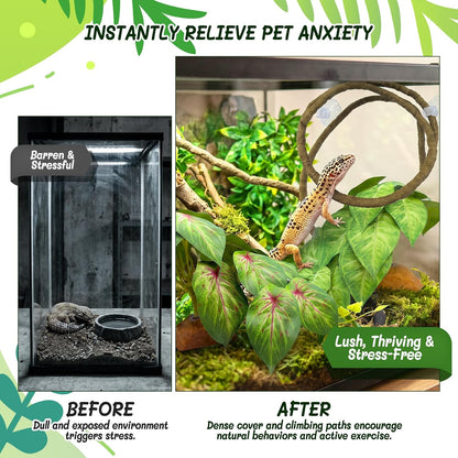 3PC Reptile Terrarium Habitat Decor Kit – Realistic Artificial Reptile Plants with Hanging Vine, Resin Stone Base – Jungle Rainforest Habitat & Climbing for Lizard & Amphibians (Syngonium)
