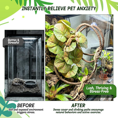 3PC Reptile Terrarium Habitat Decor Kit – Realistic Artificial Reptile Plants with Hanging Vine, Resin Stone Base – Jungle Rainforest Habitat & Climbing for Lizard & Amphibians (Syngonium)