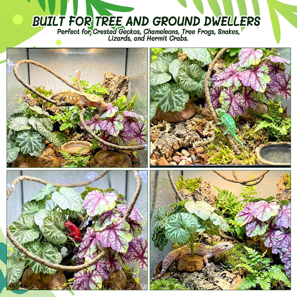 3PC Reptile Terrarium Habitat Decor Kit – Realistic Artificial Reptile Plants with Hanging Vine, Resin Stone Base – Jungle Rainforest Habitat & Climbing for Lizard & Amphibians (Syngonium)
