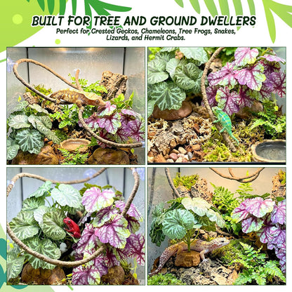 3PC Reptile Terrarium Habitat Decor Kit – Realistic Artificial Reptile Plants with Hanging Vine, Resin Stone Base – Jungle Rainforest Habitat & Climbing for Lizard & Amphibians (Syngonium)
