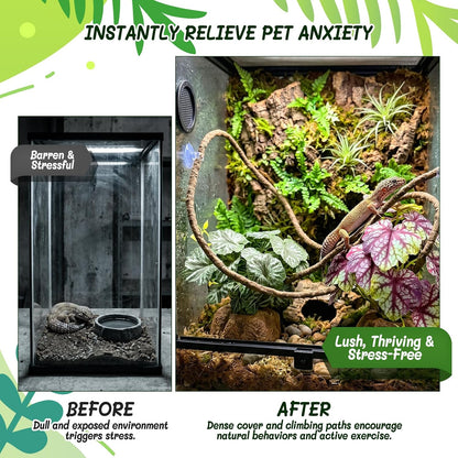 3PC Reptile Terrarium Habitat Decor Kit – Realistic Artificial Reptile Plants with Hanging Vine, Resin Stone Base – Jungle Rainforest Habitat & Climbing for Lizard & Amphibians (Syngonium)