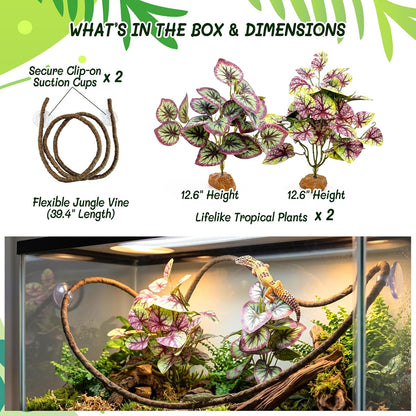 3PC Reptile Terrarium Habitat Decor Kit – Realistic Artificial Reptile Plants with Hanging Vine, Resin Stone Base – Jungle Rainforest Habitat & Climbing for Lizard & Amphibians (Syngonium)