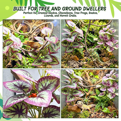3PC Reptile Terrarium Habitat Decor Kit – Realistic Artificial Reptile Plants with Hanging Vine, Resin Stone Base – Jungle Rainforest Habitat & Climbing for Lizard & Amphibians (Syngonium)