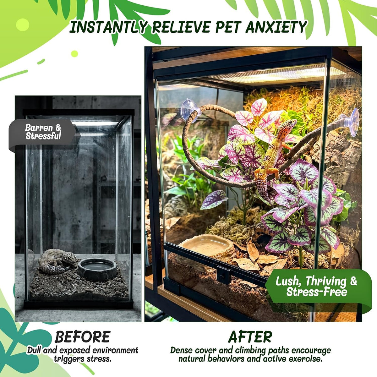 3PC Reptile Terrarium Habitat Decor Kit – Realistic Artificial Reptile Plants with Hanging Vine, Resin Stone Base – Jungle Rainforest Habitat & Climbing for Lizard & Amphibians (Syngonium)