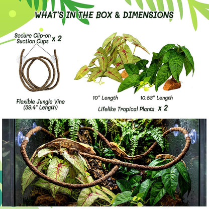 3PC Reptile Terrarium Habitat Decor Kit – Realistic Artificial Reptile Plants with Hanging Vine, Resin Stone Base – Jungle Rainforest Habitat & Climbing for Lizard & Amphibians (Syngonium)