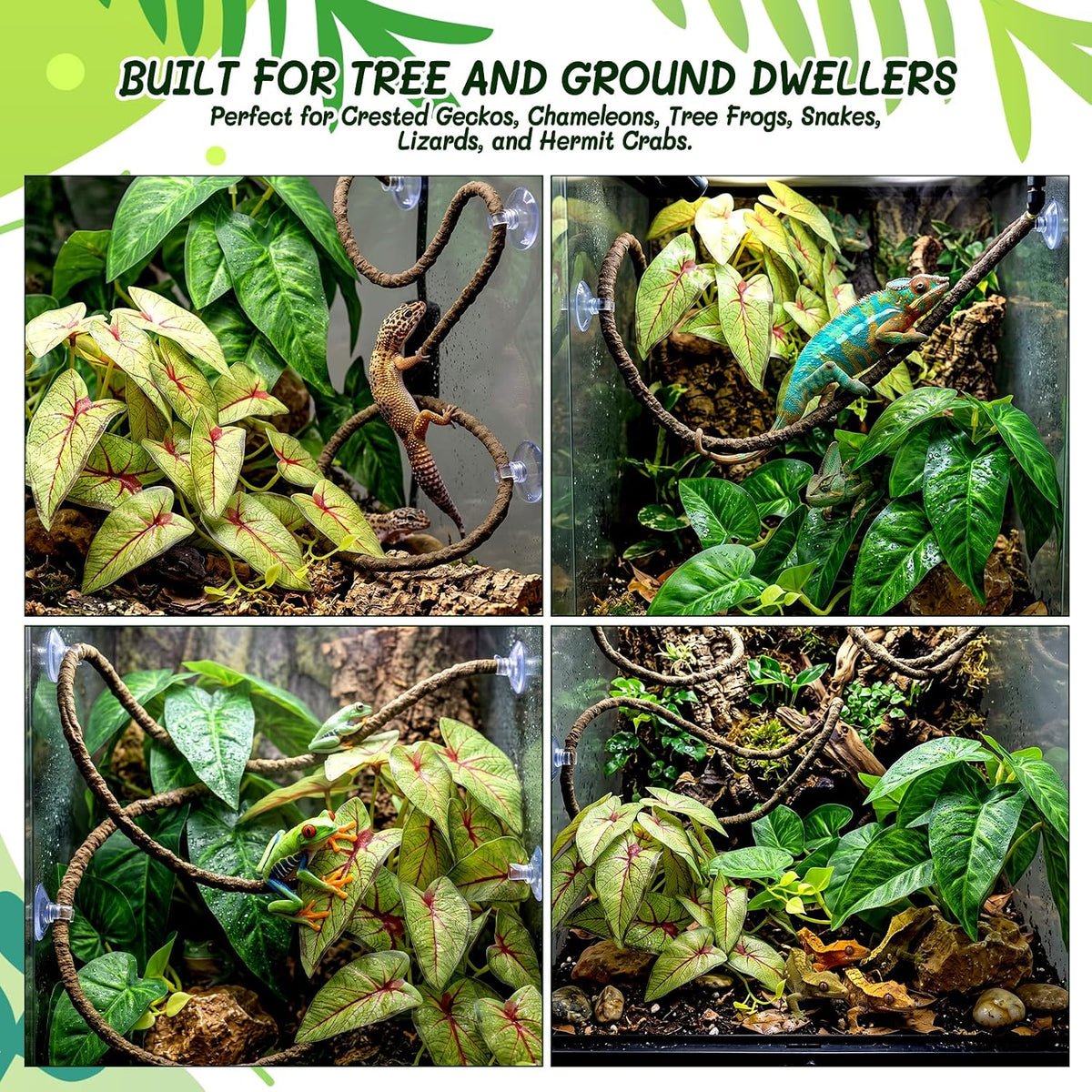 3PC Reptile Terrarium Habitat Decor Kit – Realistic Artificial Reptile Plants with Hanging Vine, Resin Stone Base – Jungle Rainforest Habitat & Climbing for Lizard & Amphibians (Syngonium)
