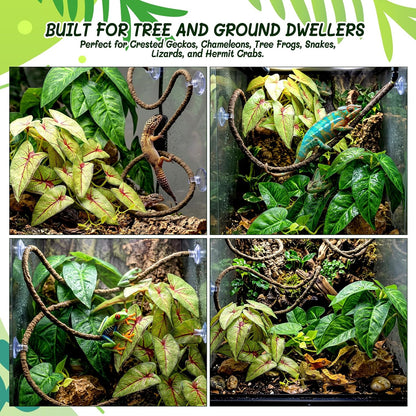 3PC Reptile Terrarium Habitat Decor Kit – Realistic Artificial Reptile Plants with Hanging Vine, Resin Stone Base – Jungle Rainforest Habitat & Climbing for Lizard & Amphibians (Syngonium)