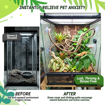 3PC Reptile Terrarium Habitat Decor Kit – Realistic Artificial Reptile Plants with Hanging Vine, Resin Stone Base – Jungle Rainforest Habitat & Climbing for Lizard & Amphibians (Syngonium)