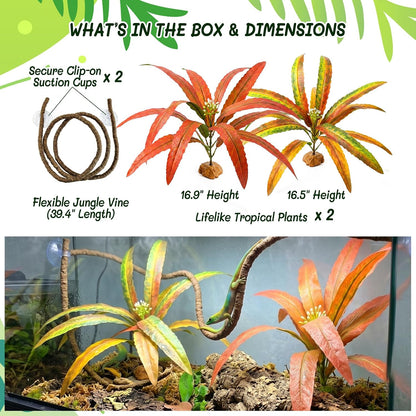 3PC Reptile Terrarium Habitat Decor Kit – Realistic Artificial Reptile Plants with Hanging Vine, Resin Stone Base – Jungle Rainforest Habitat & Climbing for Lizard & Amphibians (Syngonium)