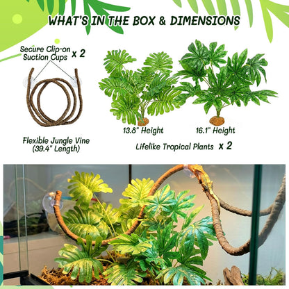 3PC Reptile Terrarium Habitat Decor Kit – Realistic Artificial Reptile Plants with Hanging Vine, Resin Stone Base – Jungle Rainforest Habitat & Climbing for Lizard & Amphibians (Syngonium)