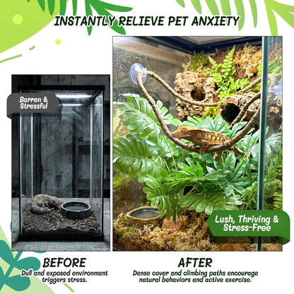 3PC Reptile Terrarium Habitat Decor Kit – Realistic Artificial Reptile Plants with Hanging Vine, Resin Stone Base – Jungle Rainforest Habitat & Climbing for Lizard & Amphibians (Syngonium)