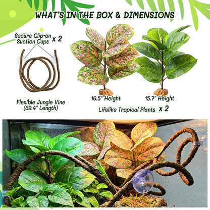 3PC Reptile Terrarium Habitat Decor Kit – Realistic Artificial Reptile Plants with Hanging Vine, Resin Stone Base – Jungle Rainforest Habitat & Climbing for Lizard & Amphibians (Syngonium)