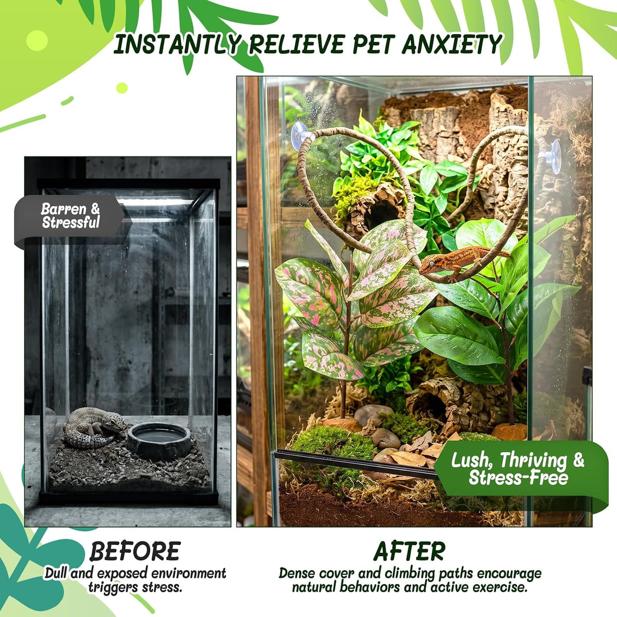 3PC Reptile Terrarium Habitat Decor Kit – Realistic Artificial Reptile Plants with Hanging Vine, Resin Stone Base – Jungle Rainforest Habitat & Climbing for Lizard & Amphibians (Syngonium)