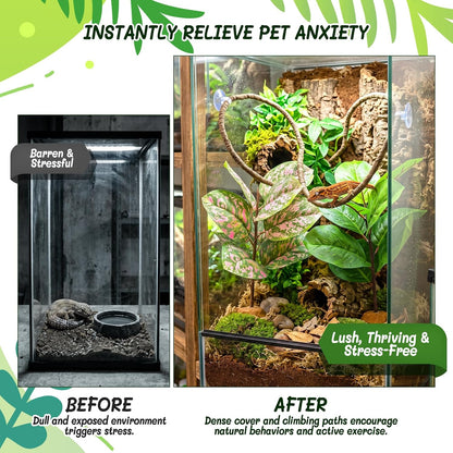 3PC Reptile Terrarium Habitat Decor Kit – Realistic Artificial Reptile Plants with Hanging Vine, Resin Stone Base – Jungle Rainforest Habitat & Climbing for Lizard & Amphibians (Syngonium)