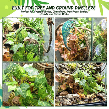 3PC Reptile Terrarium Habitat Decor Kit – Realistic Artificial Reptile Plants with Hanging Vine, Resin Stone Base – Jungle Rainforest Habitat & Climbing for Lizard & Amphibians (Syngonium)