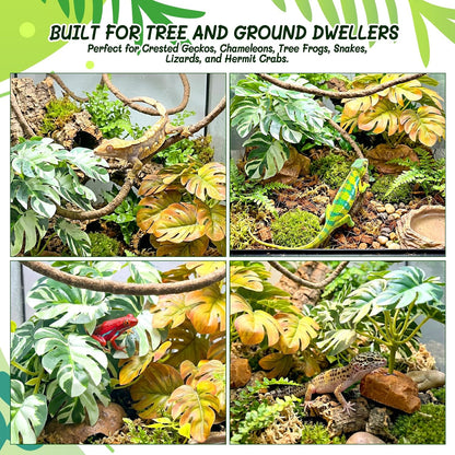 3PC Reptile Terrarium Habitat Decor Kit – Realistic Artificial Reptile Plants with Hanging Vine, Resin Stone Base – Jungle Rainforest Habitat & Climbing for Lizard & Amphibians (Syngonium)