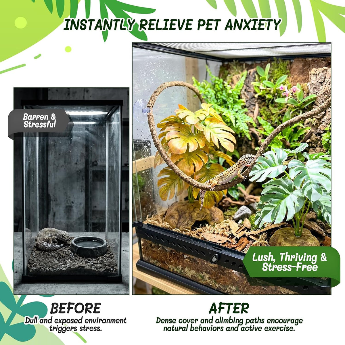 3PC Reptile Terrarium Habitat Decor Kit – Realistic Artificial Reptile Plants with Hanging Vine, Resin Stone Base – Jungle Rainforest Habitat & Climbing for Lizard & Amphibians (Syngonium)