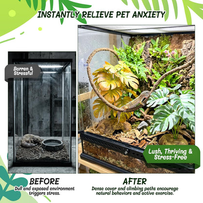 3PC Reptile Terrarium Habitat Decor Kit – Realistic Artificial Reptile Plants with Hanging Vine, Resin Stone Base – Jungle Rainforest Habitat & Climbing for Lizard & Amphibians (Syngonium)
