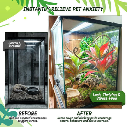 3PC Reptile Terrarium Habitat Decor Kit – Realistic Artificial Reptile Plants with Hanging Vine, Resin Stone Base – Jungle Rainforest Habitat & Climbing for Lizard & Amphibians (Syngonium)