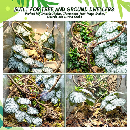 3PC Reptile Terrarium Habitat Decor Kit – Realistic Artificial Reptile Plants with Hanging Vine, Resin Stone Base – Jungle Rainforest Habitat & Climbing for Lizard & Amphibians (Syngonium)