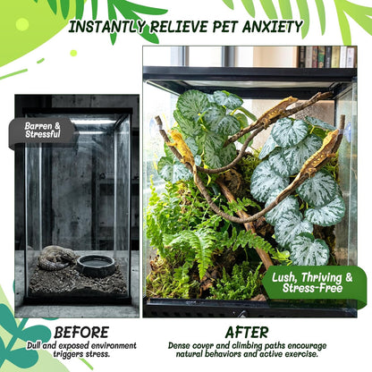 3PC Reptile Terrarium Habitat Decor Kit – Realistic Artificial Reptile Plants with Hanging Vine, Resin Stone Base – Jungle Rainforest Habitat & Climbing for Lizard & Amphibians (Syngonium)
