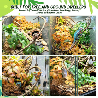 3PC Reptile Terrarium Habitat Decor Kit – Realistic Artificial Reptile Plants with Hanging Vine, Resin Stone Base – Jungle Rainforest Habitat & Climbing for Lizard & Amphibians (Syngonium)