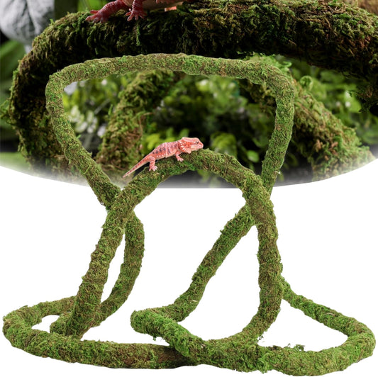 Moss Vine for Reptiles, Bendable Climbing Vines Reptile Tank Accessories, Natural Moss Rope for Leopard Gecko, Lizard, Snake, Chameleon, Frog Terrarium Decor (Jungle Green, 9.8 FT)