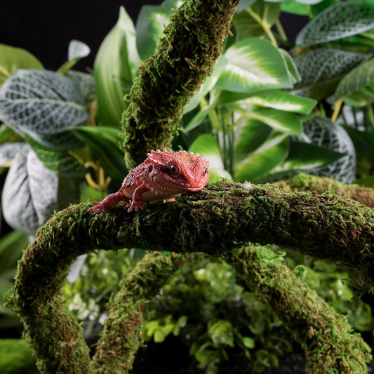 Moss Vine for Reptiles, Bendable Climbing Vines Reptile Tank Accessories, Natural Moss Rope for Leopard Gecko, Lizard, Snake, Chameleon, Frog Terrarium Decor (Jungle Green, 9.8 FT)