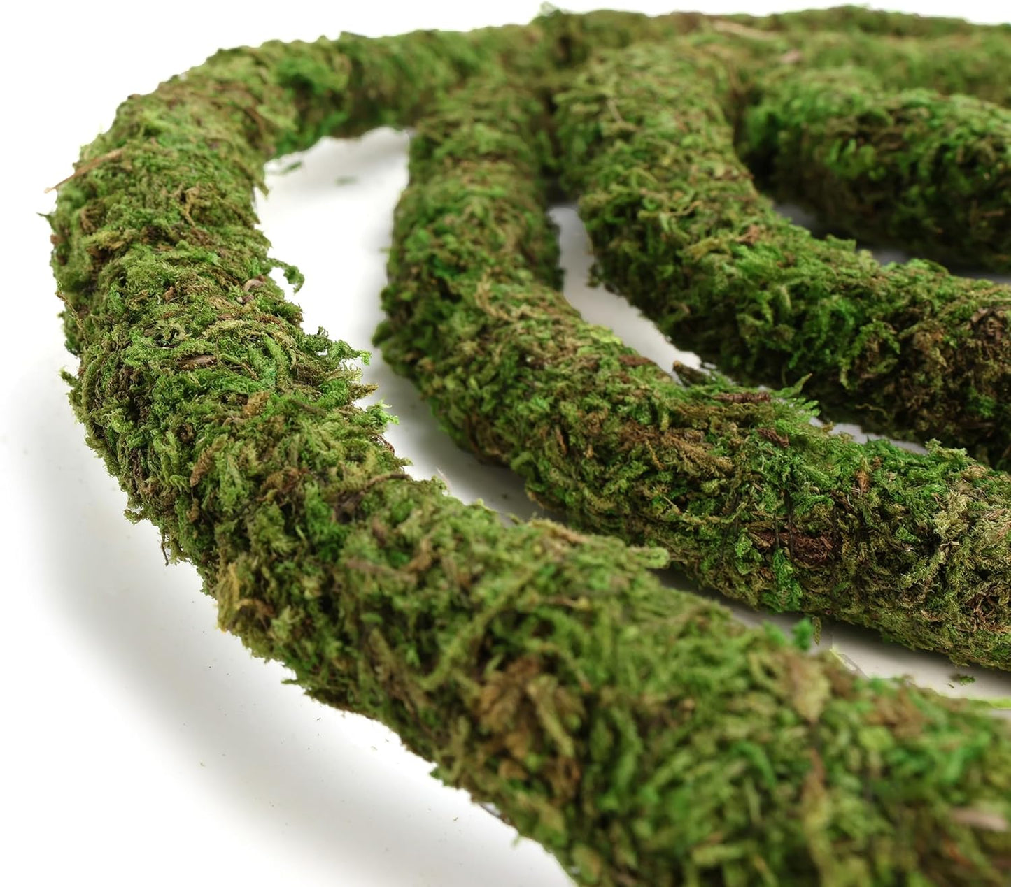 Moss Vine for Reptiles, Bendable Climbing Vines Reptile Tank Accessories, Natural Moss Rope for Leopard Gecko, Lizard, Snake, Chameleon, Frog Terrarium Decor (Jungle Green, 9.8 FT)