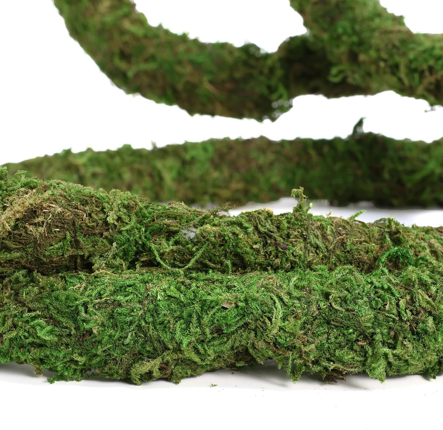 Moss Vine for Reptiles, Bendable Climbing Vines Reptile Tank Accessories, Natural Moss Rope for Leopard Gecko, Lizard, Snake, Chameleon, Frog Terrarium Decor (Jungle Green, 9.8 FT)