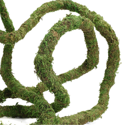Moss Vine for Reptiles, Bendable Climbing Vines Reptile Tank Accessories, Natural Moss Rope for Leopard Gecko, Lizard, Snake, Chameleon, Frog Terrarium Decor (Jungle Green, 9.8 FT)