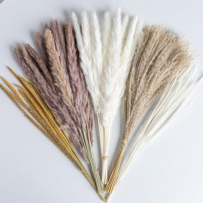 96PCS Natural Dried Pampas Grass Boho Home Decor Bouquet Phragmites Dried Flowers Bouquet for Wedding Floral Arrangements Living Room Decorations (96PCS)