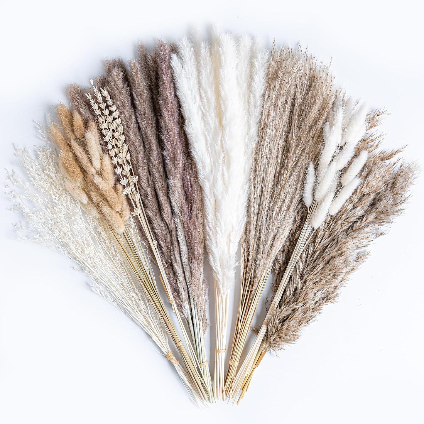 96PCS Natural Dried Pampas Grass Boho Home Decor Bouquet Phragmites Dried Flowers Bouquet for Wedding Floral Arrangements Living Room Decorations (96PCS)