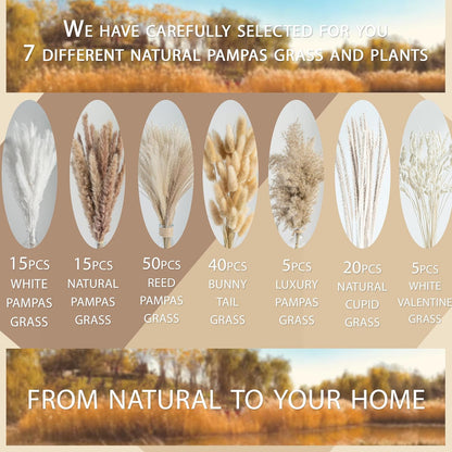 96PCS Natural Dried Pampas Grass Boho Home Decor Bouquet Phragmites Dried Flowers Bouquet for Wedding Floral Arrangements Living Room Decorations (96PCS)
