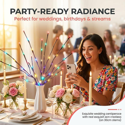 DK177 Led Branch Light Battery Operated Lighted Branch Vase Filler Willow Tree Artificial Little Twig Power Brown 30 Inch 20 LED for Indoor Romantic, Multicolor Light