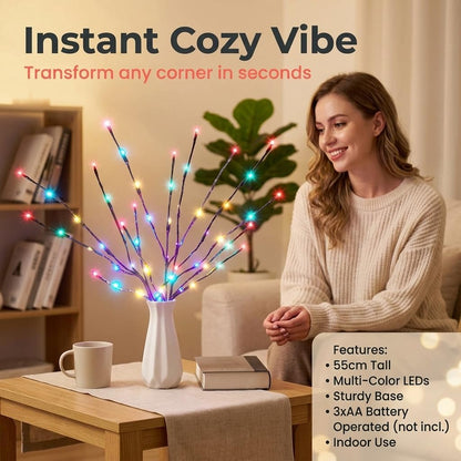 DK177 Led Branch Light Battery Operated Lighted Branch Vase Filler Willow Tree Artificial Little Twig Power Brown 30 Inch 20 LED for Indoor Romantic, Multicolor Light