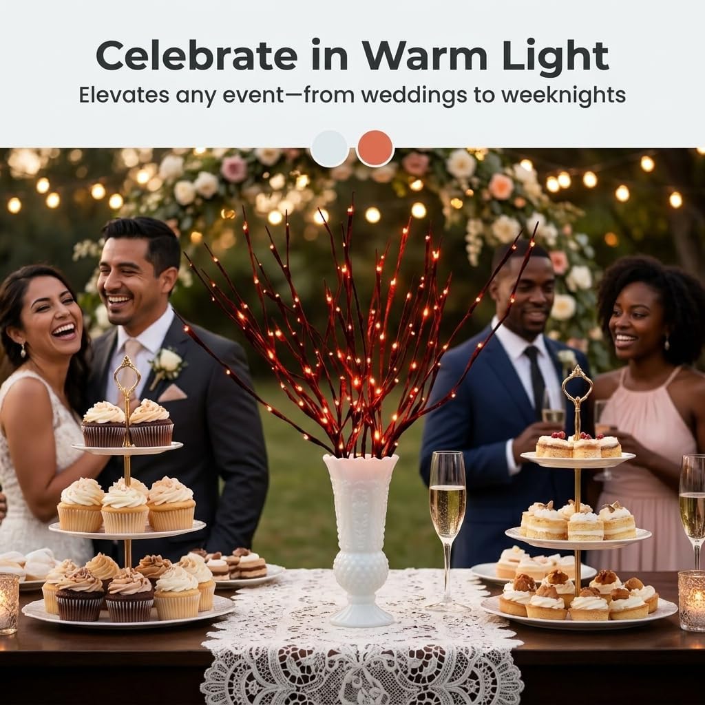 DK177 Led Branch Light Battery Operated Lighted Branch Vase Filler Willow Tree Artificial Little Twig Power Brown 30 Inch 20 LED for Indoor Romantic, Multicolor Light