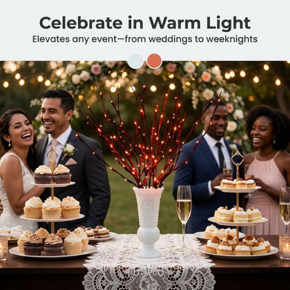 DK177 Led Branch Light Battery Operated Lighted Branch Vase Filler Willow Tree Artificial Little Twig Power Brown 30 Inch 20 LED for Indoor Romantic, Multicolor Light